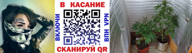 Купить наркоту Вельск Alpha-PVP  ГАШ  Кодеин  COCAIN  АМФЕТАМИН 