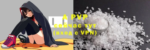 ГАЛЛЮЦИНОГЕННЫЕ ГРИБЫ Белоозёрский