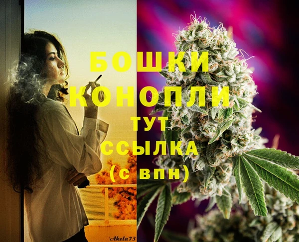 ГАЛЛЮЦИНОГЕННЫЕ ГРИБЫ Белоозёрский