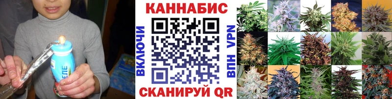 Шишки марихуана сатива  блэк спрут зеркало  Вельск 
